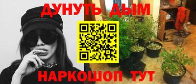 каннабис Краснодар