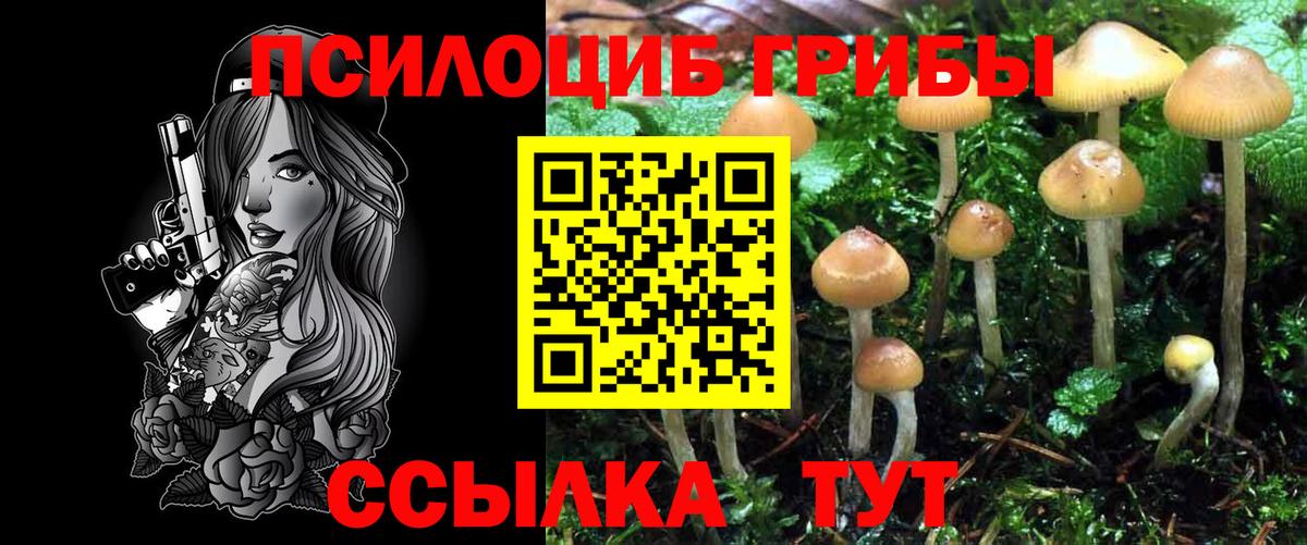 Галлюциногенные грибы Cubensis  Вход с VPN  Костомукша  Галлюциногенные грибы Magic Shrooms 